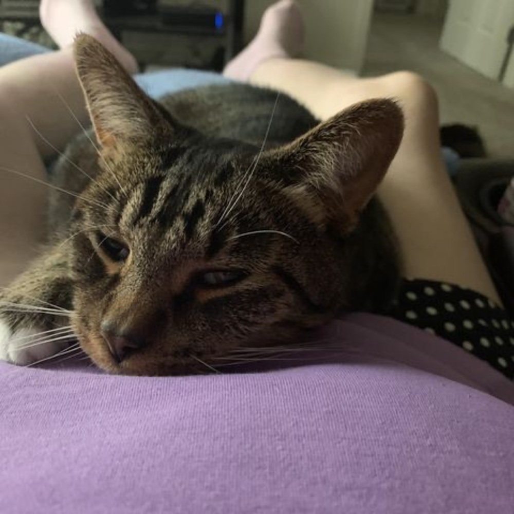 Meet your Posher, Kristin